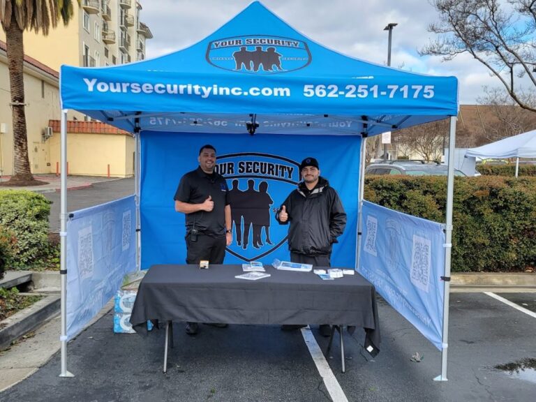 ys security 768x576