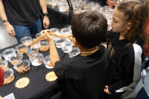 DSC01733 scaled 1 300x200