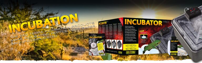 Sub Cat header Incubation 768x240