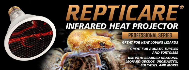 repticare infrared heat projector banner 768x288