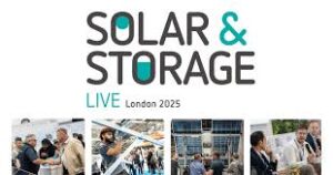 download 12 1 300x158