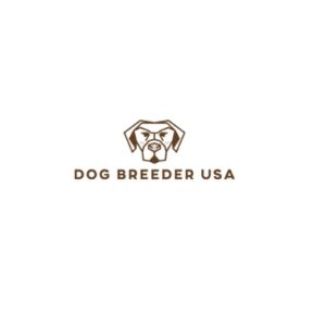 LOGO 1 300x300